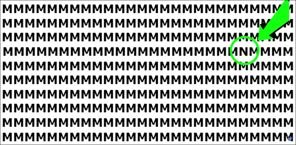 2-10.jpg (1000Ã491)