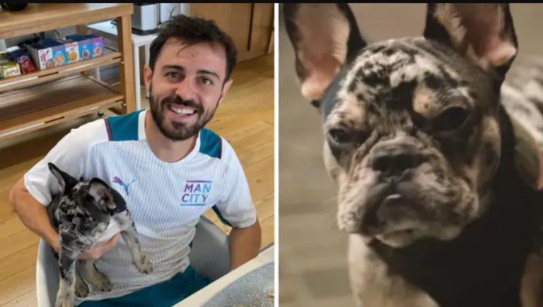 Bernardo Silva ia lë qenit të tij emrin e shokut të skuadrës – krejt kjo në shenjë respekti e dashurie