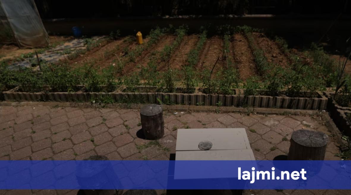 Stigma dhe mungesa e trajtimit  Sfida e personave me çrregullime mendore në Kosovë