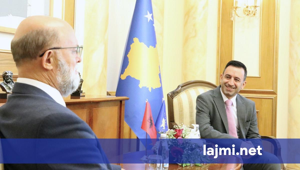 Basha takohet me ambasadorin shqiptar  Petrit Malaj  Theksoi rëndësinë e mbështetjes së vazhdueshme të Shqipërisë për procesin e integrimit të Kosovës në BE