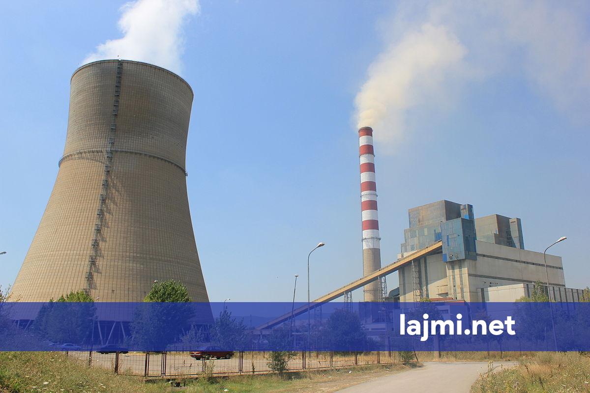 kek-u-jep-tender-afro-300-mije-per-furnizim-me-licenca-te-microsoft-it