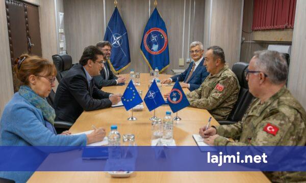 Ulutas pret në takim zyrtarin e KiE së për vëzhgimin e zgjedhjeve