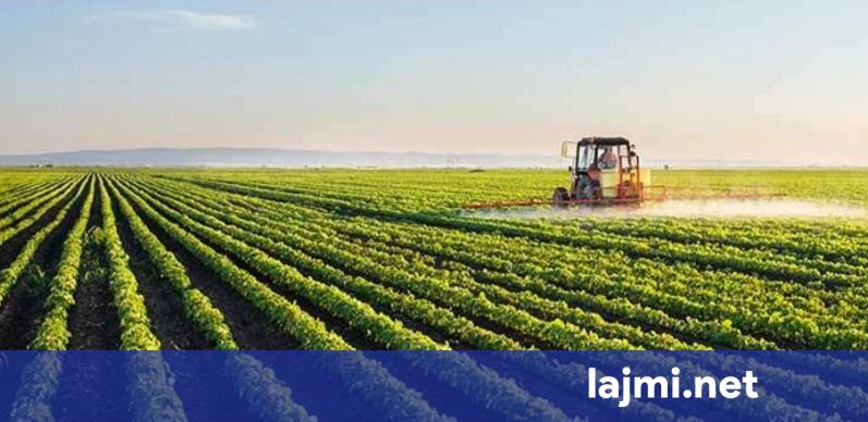 Kosova 2024 2025  Përdorimi i tokës bujqësore  eksportet dhe prodhimi  diku pati tkurrje të punimeve krahasuar me vitet paraprake