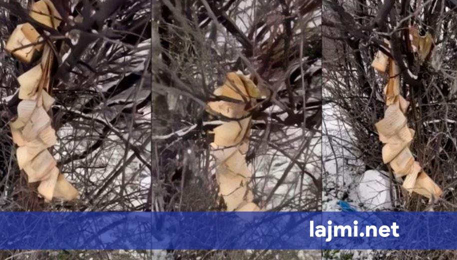 U gjet i dëmtuar libri i Kuranit në Gjakovë  Policia thotë se kanë filluar hetimet