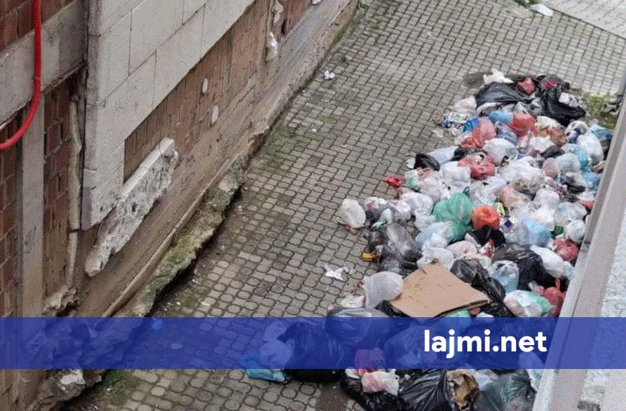 Banorët e rrugës  Bajram Kelmendi  në Prishtinë ankohen për mbeturinat  Era dhe minjtë po shqetësojnë komunitetin
