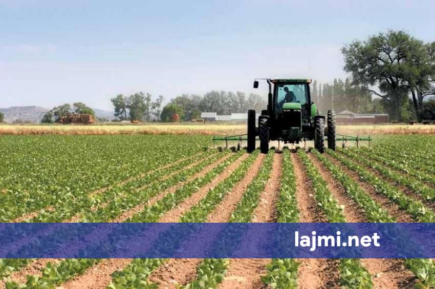 Autorizohet pagesa e subvencioneve të mbetura bujqësore për vitin 2025  realizimi pritet të bëhet brenda 5 ditëve