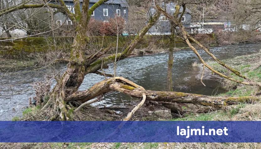 E trishtë  Trevjeçari nga Peja vdes në Gjermani pasi ra në lumë