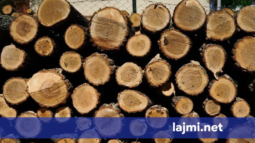 Goditet kontrabanda e drurit në kufi me Serbinë  dy persona arrijnë të arratisen