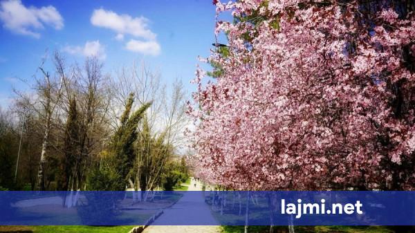 Javë e nxehtë po vjen  temperaturët do të arrijnë deri në 19 gradë