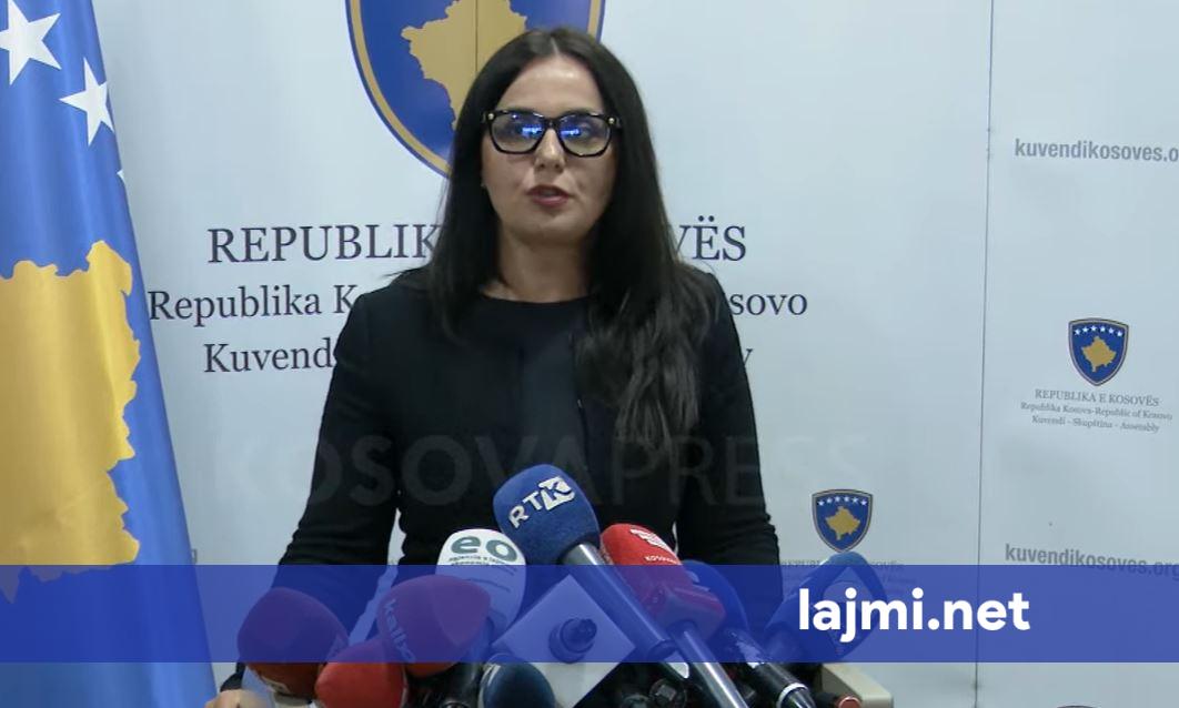 LDK jep dritën e gjelbër për 7 qershorin  Lushaku Sadriu  Do ndërtojmë një Kosovë me zhvillim dhe aleanca të forta