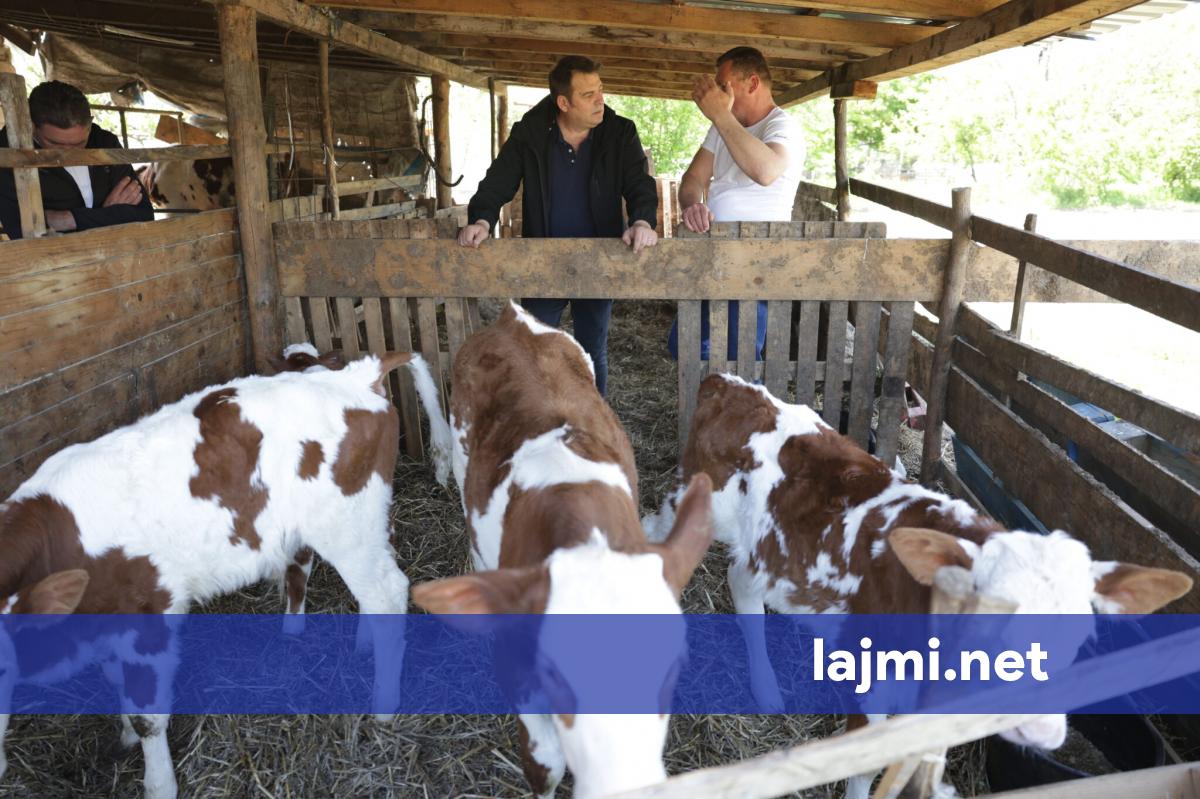 Muja në Pejë  i njofton fermerët për pakon mbështetëse të këtij viti