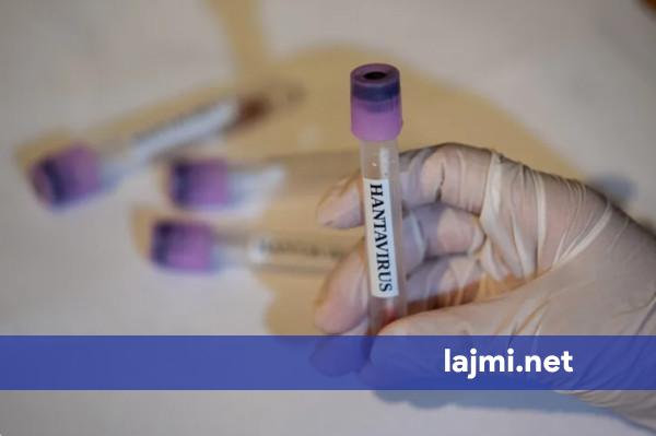 A është Kosova e rrezikuar nga Hantavirusi    Flasin nga IKSHPK