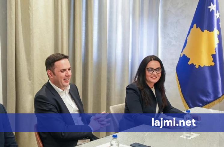 Lushaku Sadriu ndan detaje nga takimi me ambasadorin britanik në selinë e LDK së