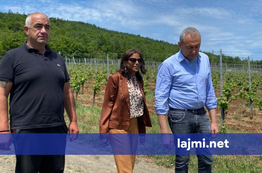 Prattipati në veri  takohet me kryetarët e komunave e përfaqësues të tjerë