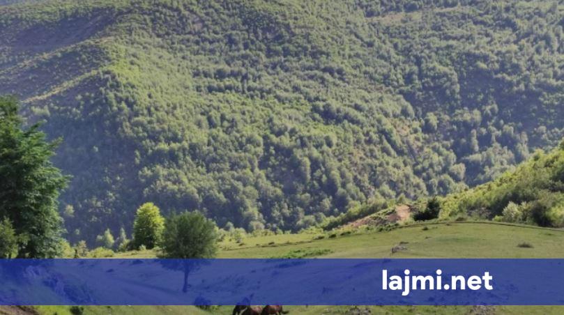 Zhduken dy turistë gjermanë në malin e Polisit në Librazhd
