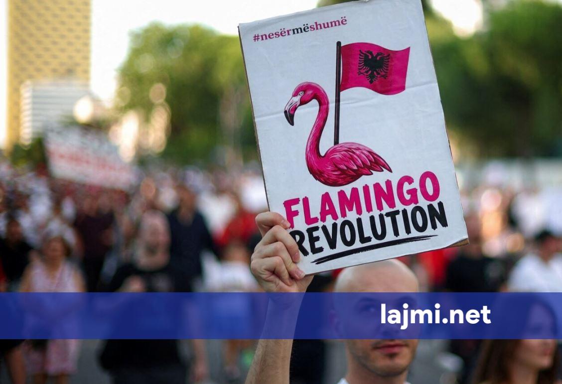  Revolucioni i Flamingove  përplas Ramën me Iranin
