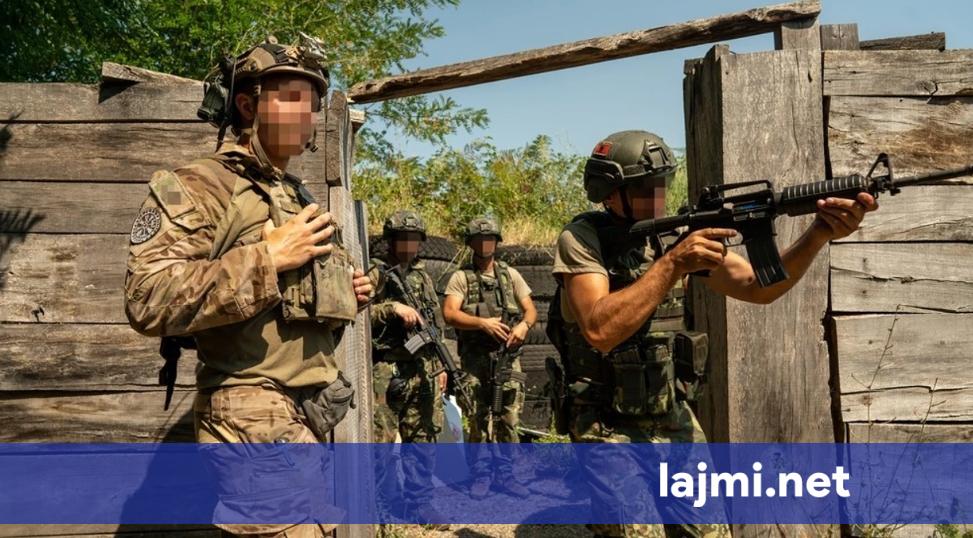 Shqipëria merr hua 302 milionë dollarë nga SHBA për financimin ushtarak