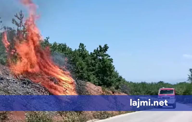 Zjarr tek varrezat dhe gështenjat në Deçan  intervenojnë zjarrfikësit