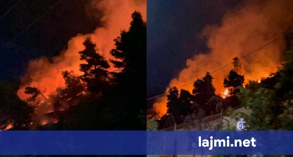 Zjarr në malin e Shëngjinit  zjarrfikësit në vendngjarje