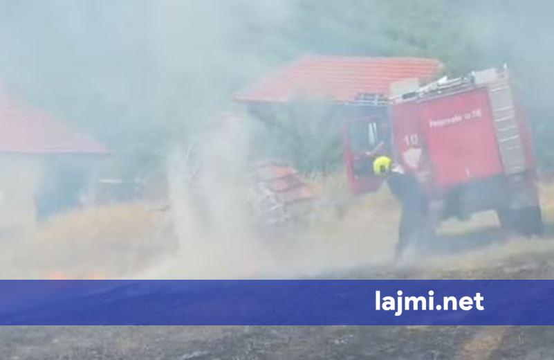 Zjarr në Ballancë të Vitisë  flakët u afrohen shtëpive   zjarrfikësit në vendngjarje