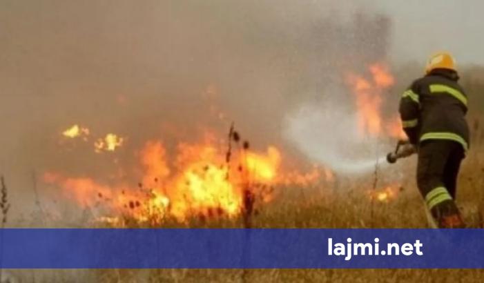 Digjet një arë e mbjellë me grurë në Podujevë  zjarri dyshohet se ka ardhur pasi dikush ka djegur mbeturina afër