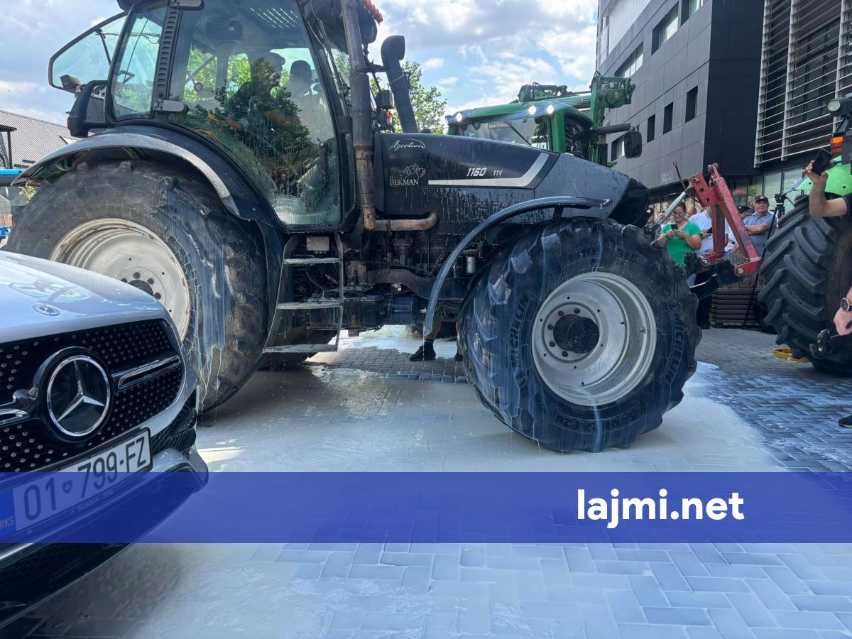 Tahiri  Fermerët e qumështit kanë kërkesa të drejta  por protestuan në adresën e gabuar