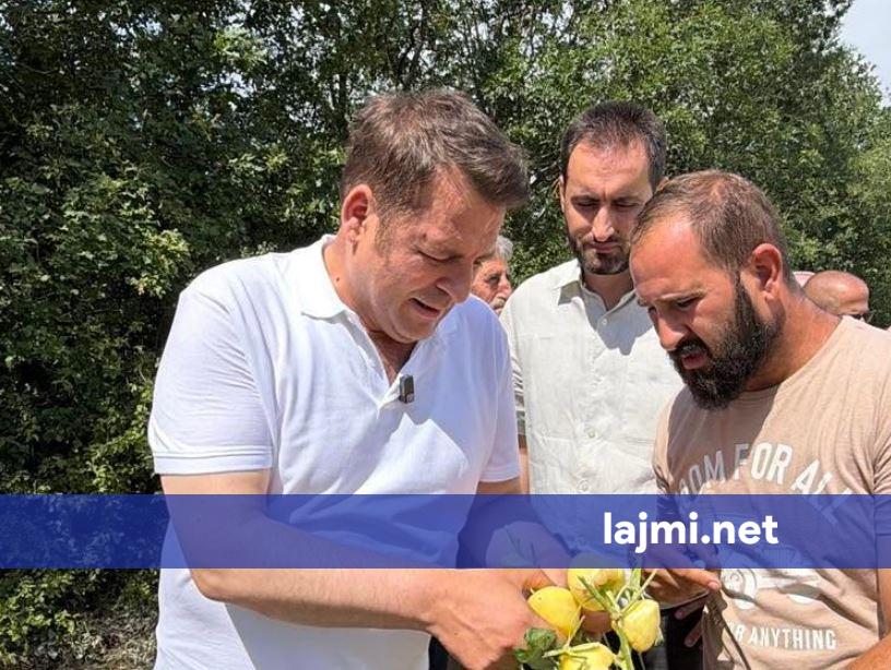 Ministria e Bujqësisë e zgjat afatin për bujqit  mund të aplikojnë për programin e pagesave direkte deri më 31 korrik