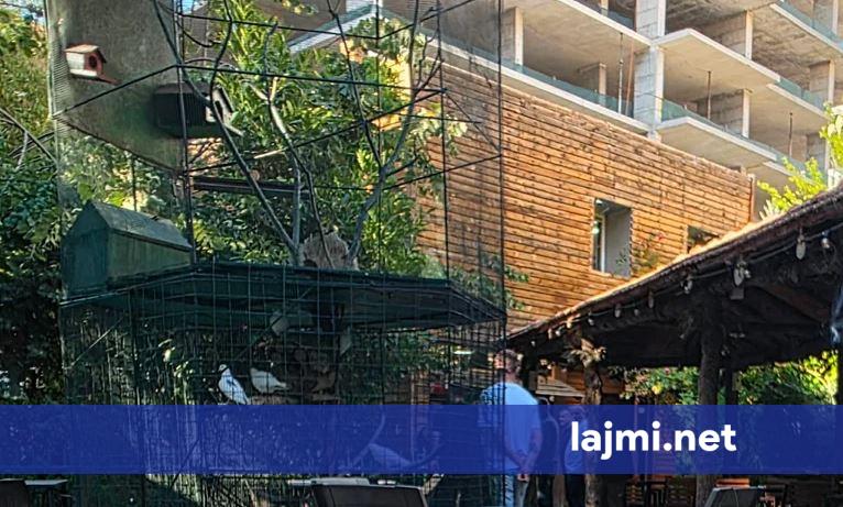 Takim në fshehtësi të plotë  Vjosa Osmani raportohet se është takuar me delegatët e LDK së që kërkojnë shkarkimin e Lumir Abdixhikut