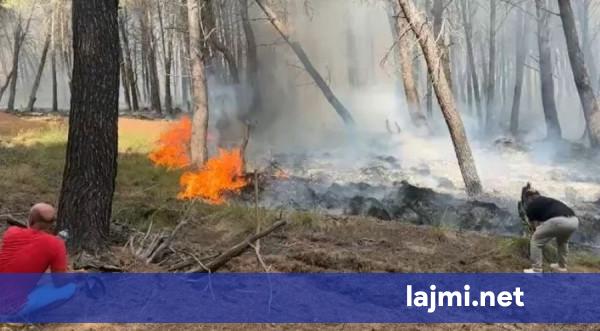 Zjarri në Vlorë po merr përmasa të rrezikshme  frikë se mos u afrohet bizneseve