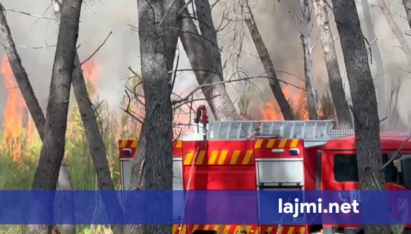 Pas tri orësh luftë me flakët vihet nën kontroll zjarri i përmasave të mëdha në Vlorë