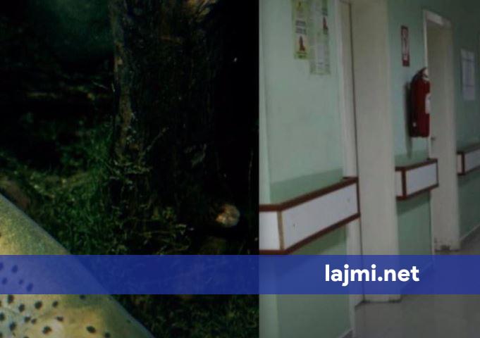 Intervenimi i shpejtë i mjekëve   shpëtohet një fëmijë në Mitrovicë pasi ra në pishinën me ujë