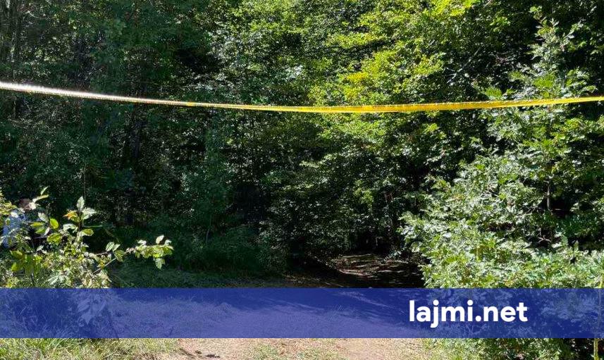 Zbulohen katër trupa në varrezën masive në Jabukë të Zubin Potokut  Sveçla  Ishin vendosur në një gropë qereqi pas ekzekutimit