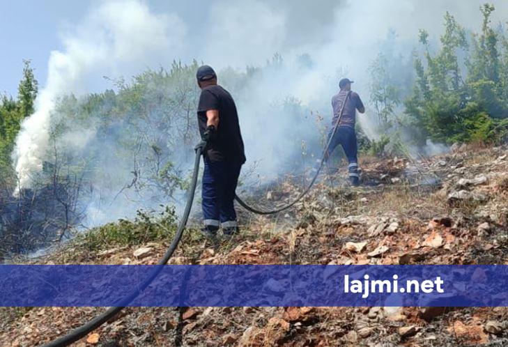 14 vatra zjarri në Shqipëri gjatë 10 orëve të fundit  7 ende aktive   ndërhyrje me zjarrfikës  helikopter dhe avion