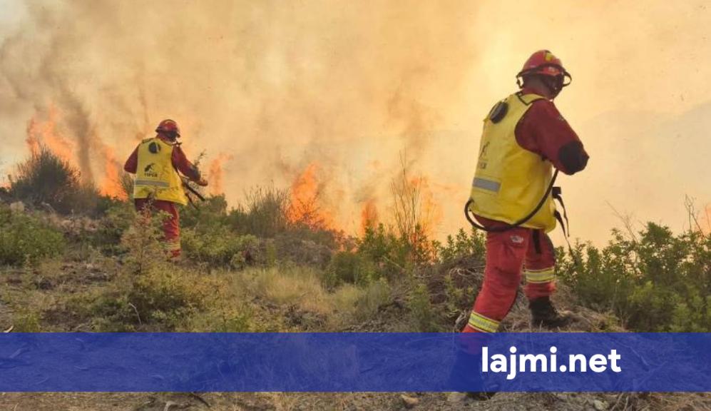 Zjarret në Shqipëri  Ministria e Mbrojtjes  Pesë vatra aktive  vijon ndërhyrja në Krujë dhe Priskë