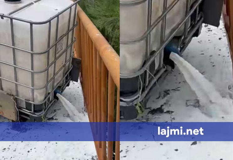 Qumështarët alarmojnë për  vajin e palmës   Po lejohet importi  ndërsa prodhimi vendor po ndalohet