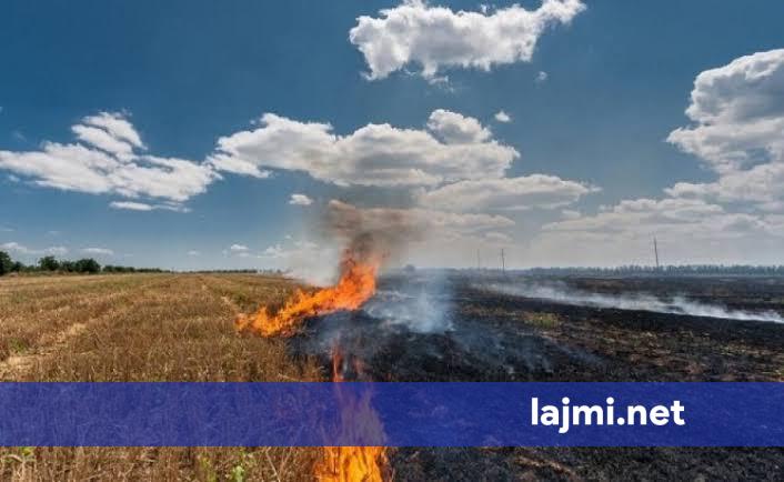 MBPZHR paralajmëron fermerët  Djegia e hamulloreve është e ndaluar  shkelësit rrezikojnë pagesat direkte