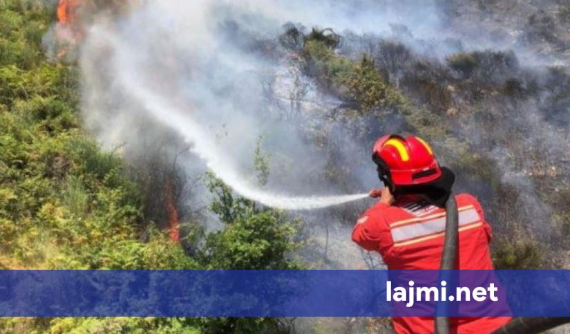 43 vatra zjarri në Shqipëri  10 mbeten aktive