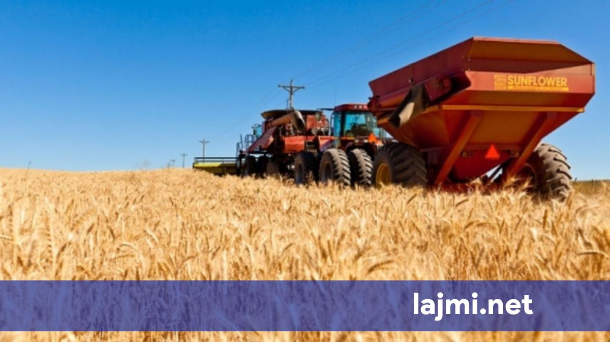 alarm-per-cmimet-e-ushqimeve-gruri-pritet-te-shtrenjtohet-ndjeshem