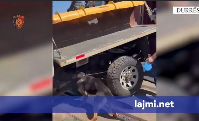 Policia në Shqipëri arreston tre kosovarë  u kapën me drogë në vlerë 1 milion euro   kanabisi për destinacion final e kishte Kosovën