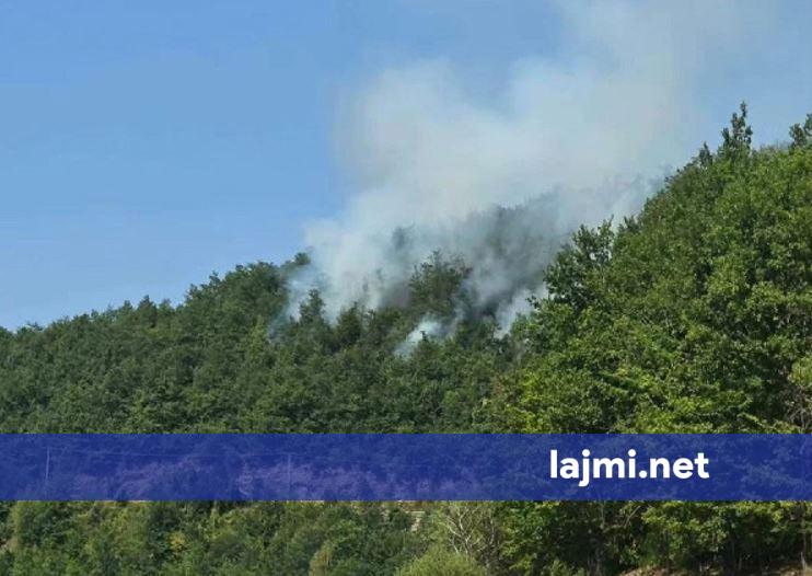 Malet afër Ujmanit përfshihen nga flakët