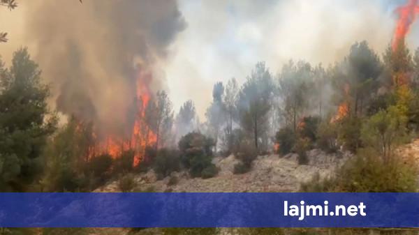 Zjarret në Shqipëri  15 vatra  7 ende aktive  ndërhyrje me mbi 200 forca dhe mjete nga ajri
