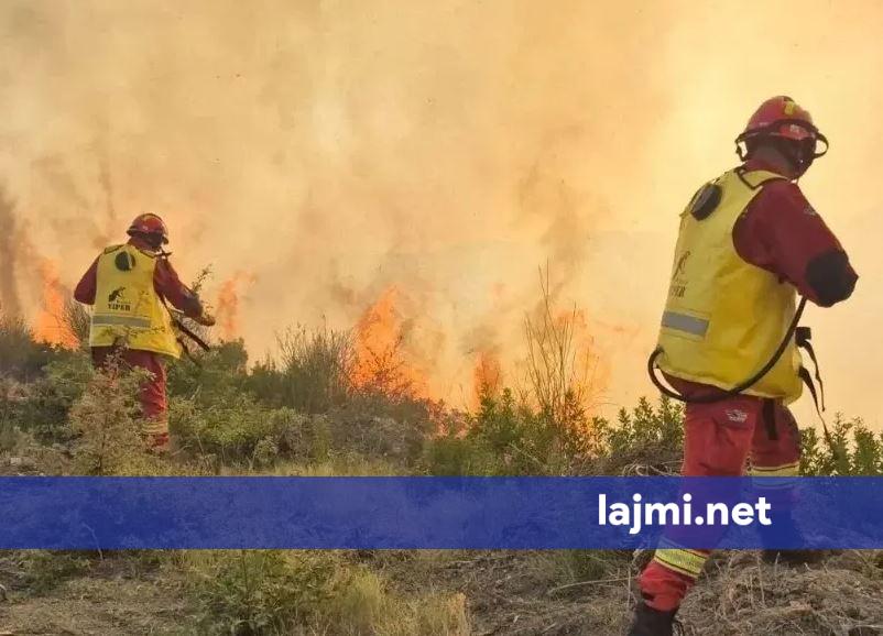 24 vatra zjarri në Shqipëri  4 aktive dhe 5 nën mbikëqyrje