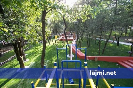 Një grua ndjek fëmijët me sopatë dhe dëmton parkun në Prishtinë  dërgohet në mbajtje e dyshuara