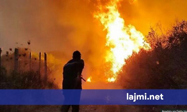 Situatë kritike nga zjarret në Mat dhe Bulqizë  flakët përfshinë disa stane gjatë natës