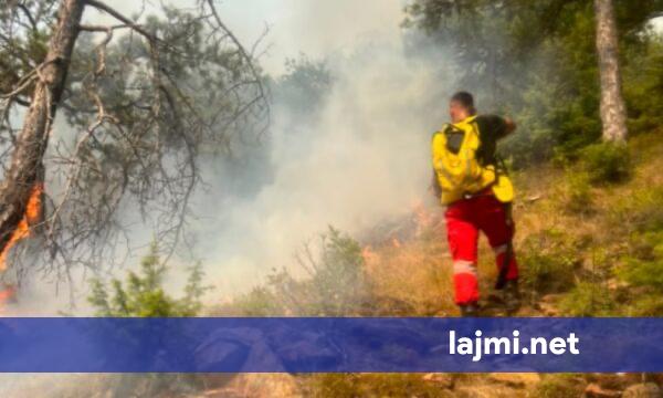 Shqipëri  Ministria e Mbrojtjes  20 vatra zjarri në vend  11 mbeten aktive