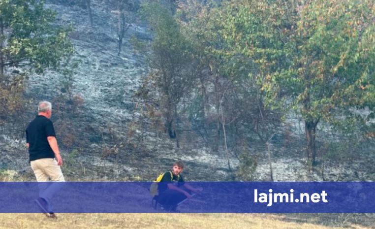 Zjarre masive në malet e Budakovës