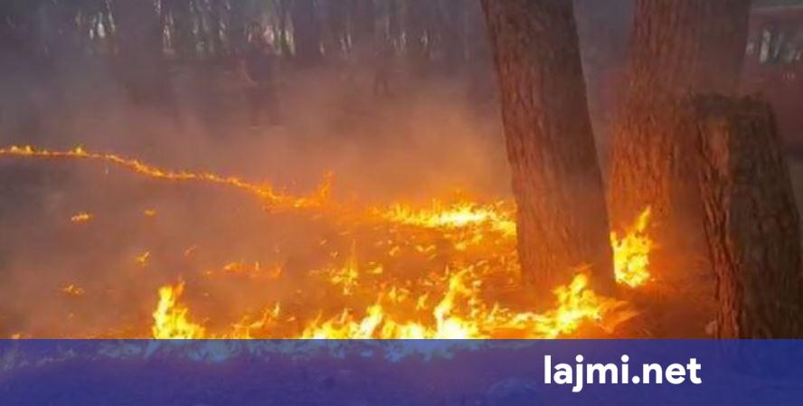 Ndezën zjarre dhe ndotën ambientin  dy persona në Malishevë dënohen me nga 500 euro