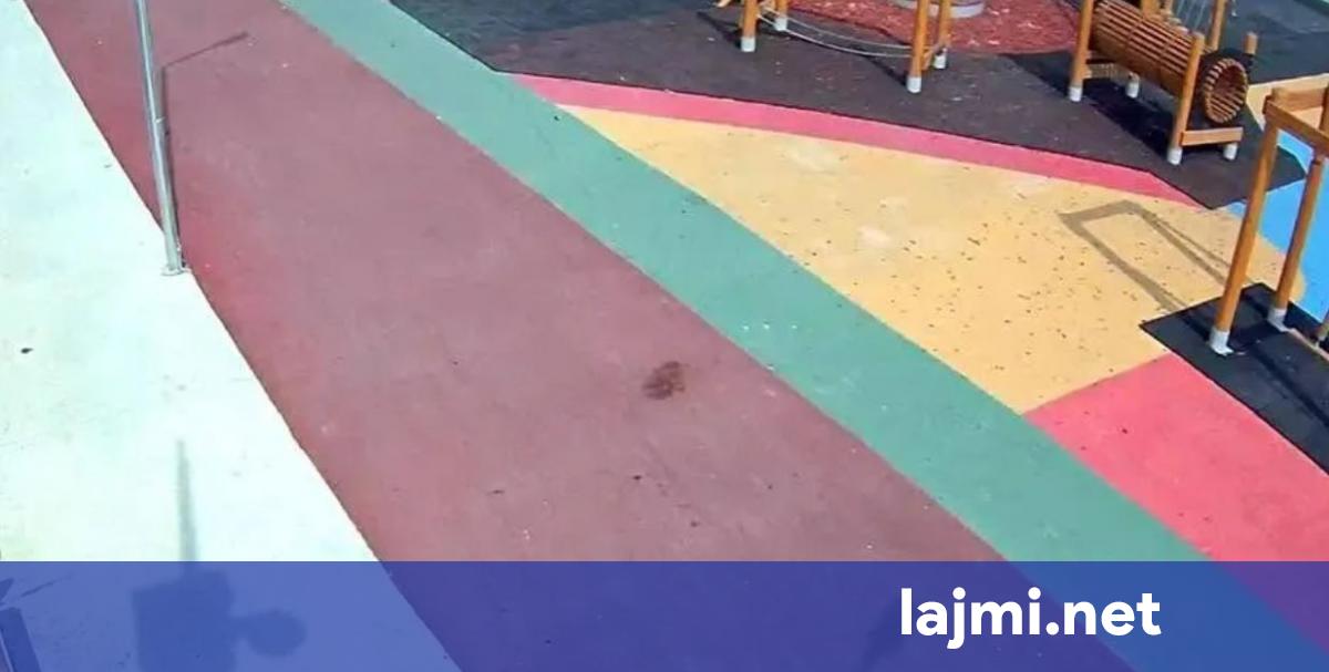 Kamera e parë vendoset në parkun e Kalabrisë  nis monitorimi 24 7 i hapësirave publike