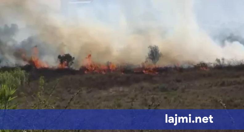 Zjarr në Babicë të Vlorës  flakët rrezikojnë një banesë  ndërhyjnë zjarrfikësit