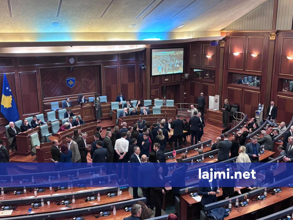 Nis votimi për presidenten